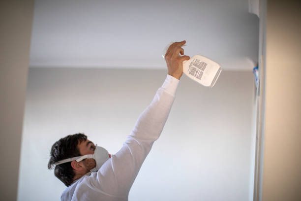 Trusted Summersville, WV Mold Remediation Experts