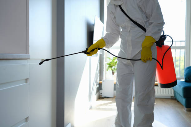 Best Emergency Mold Remediation in Summersville, WV